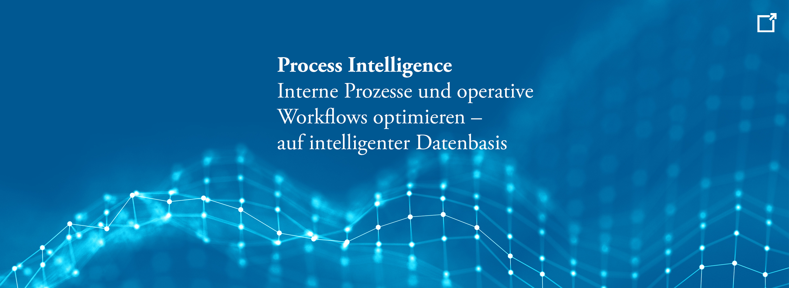 Datenstrategie, Künstliche Intelligenz, Data Governance, Big Data, Process Mining